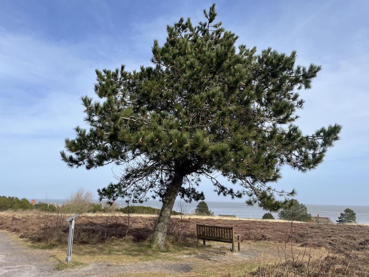 Sylter Residenz Apartman Westerland Kültér fotó